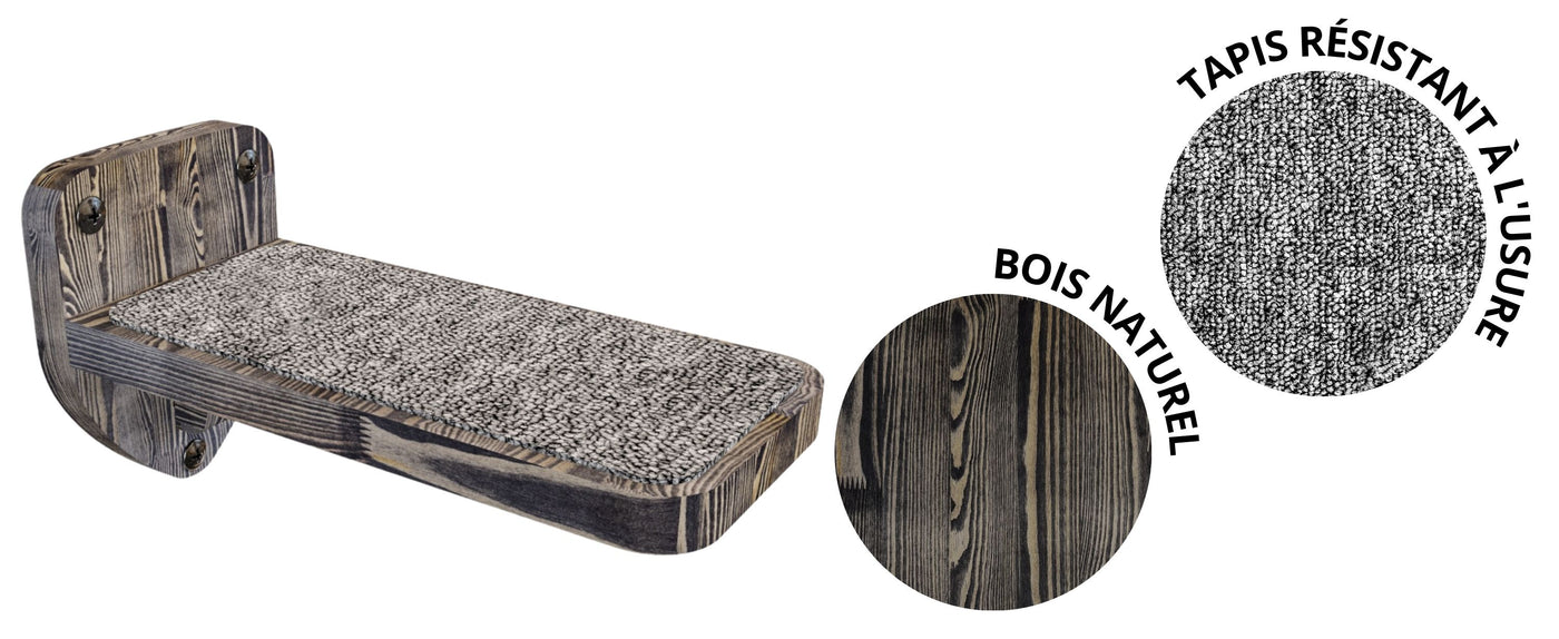 parc mural pour chats