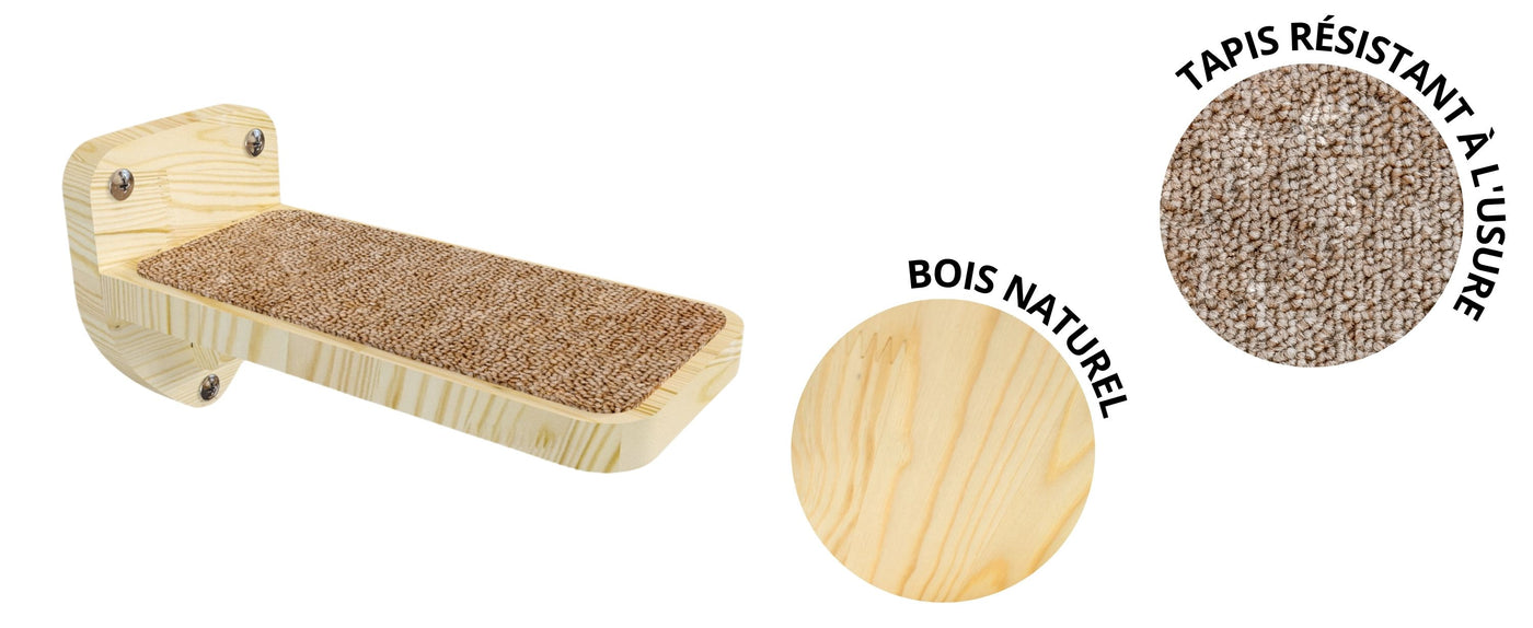 mur d'échelle pour chat