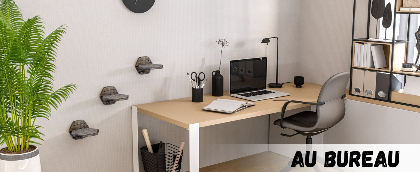 mur d'escalade pour chat