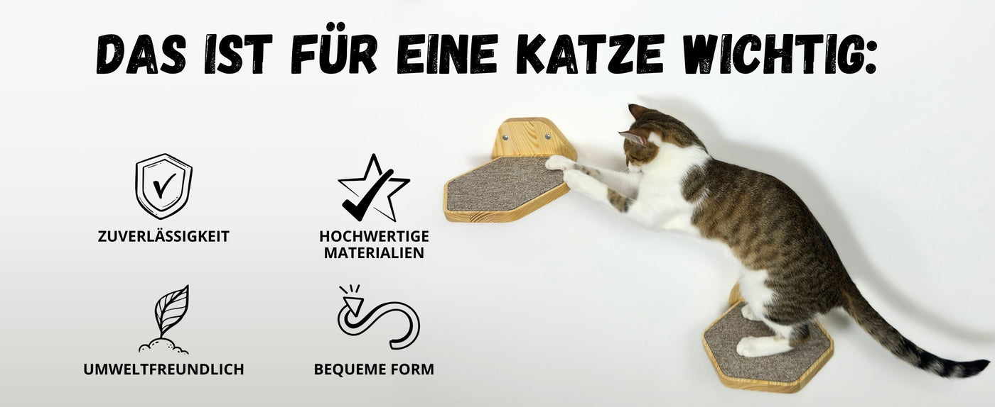 katzen wand