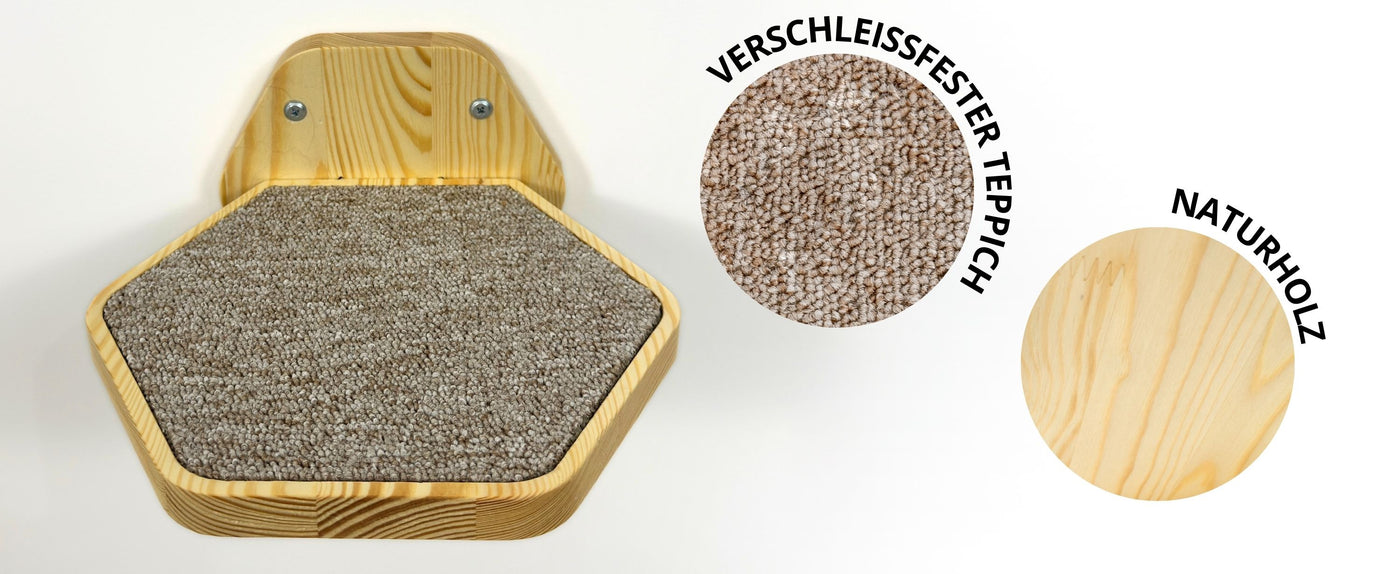katzen wand klettern