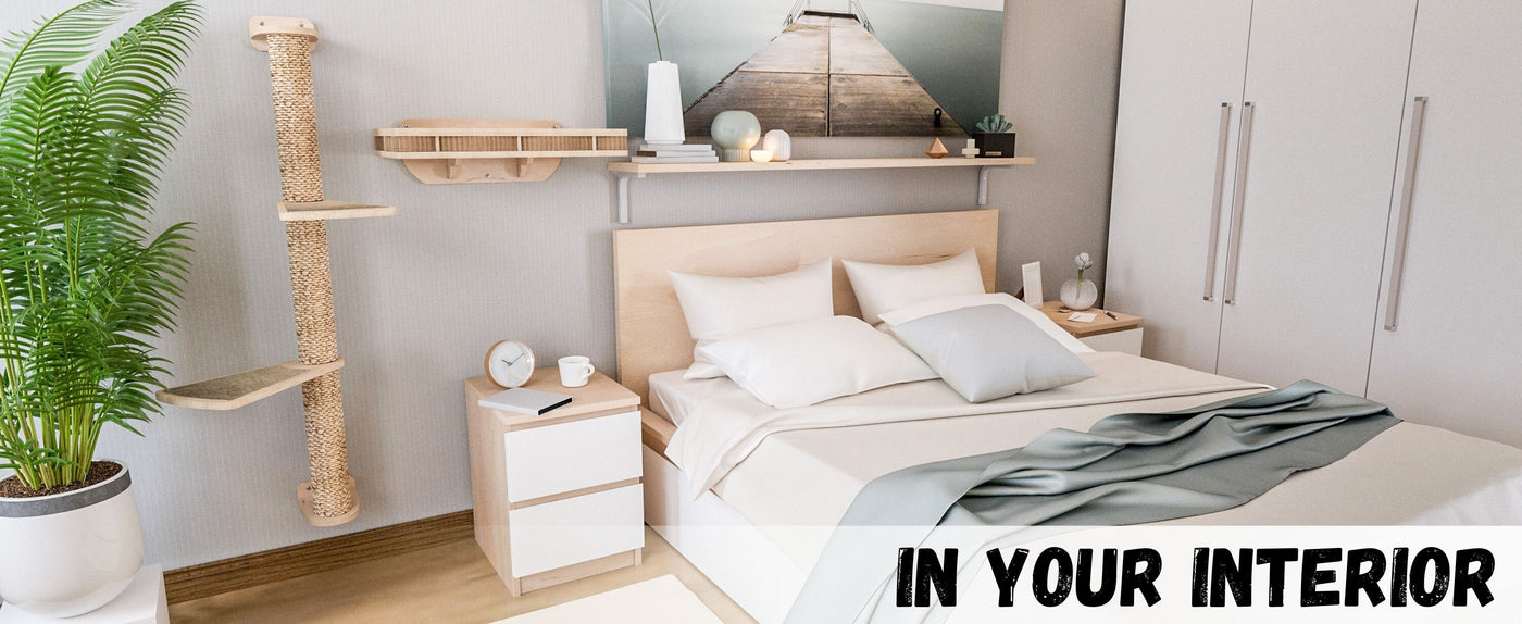 Modern bedroom with bed, nightstands, and wall-mounted cat shelves.