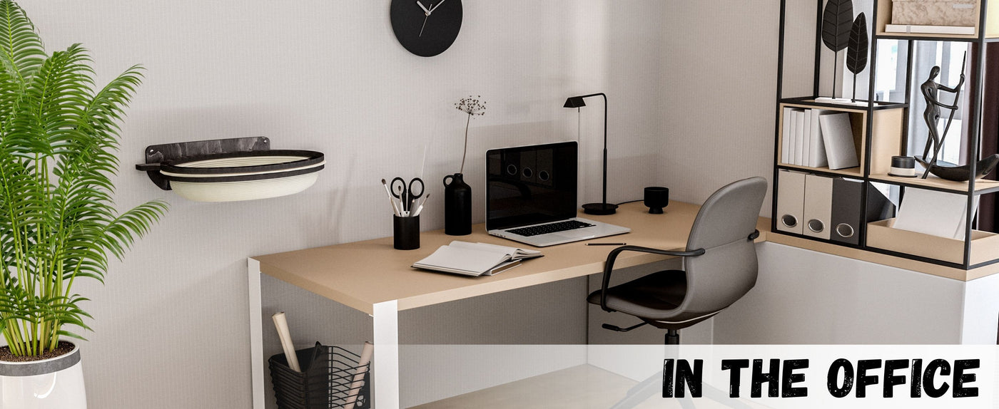 Modern office setup with desk, chair, and cat wall perch.