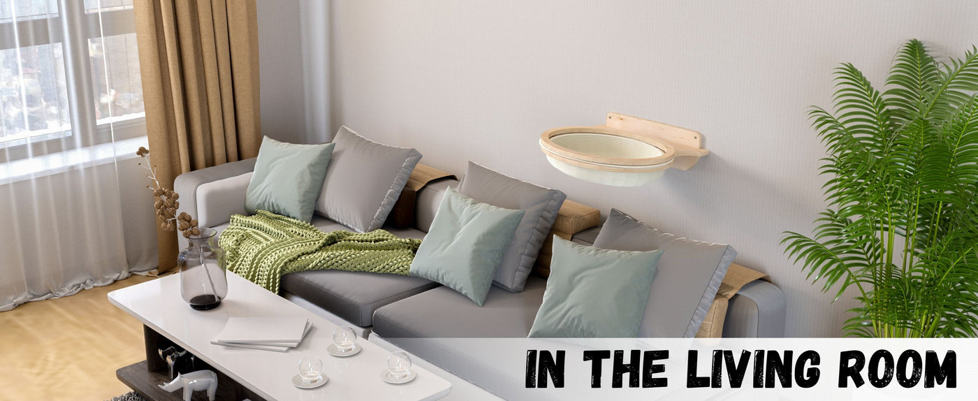 Living room with a gray sofa, coffee table, and cat wall furniture.