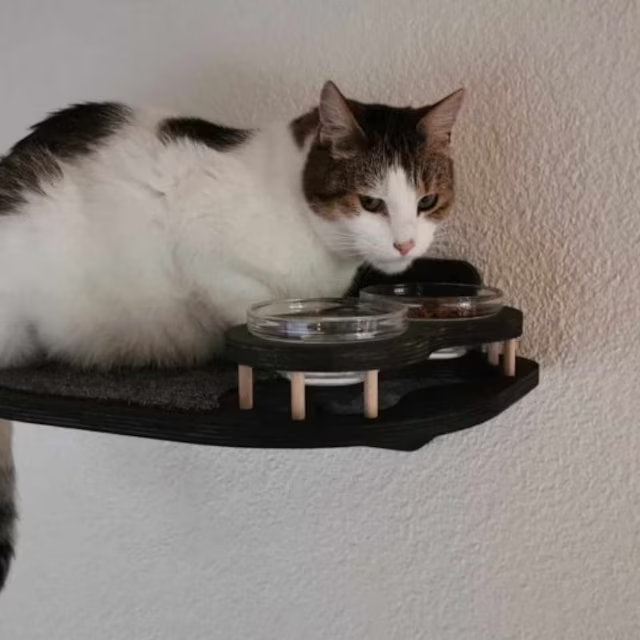 Modern wall-mounted feeding station in dark wood with carpet in gray and glass bowls for cats