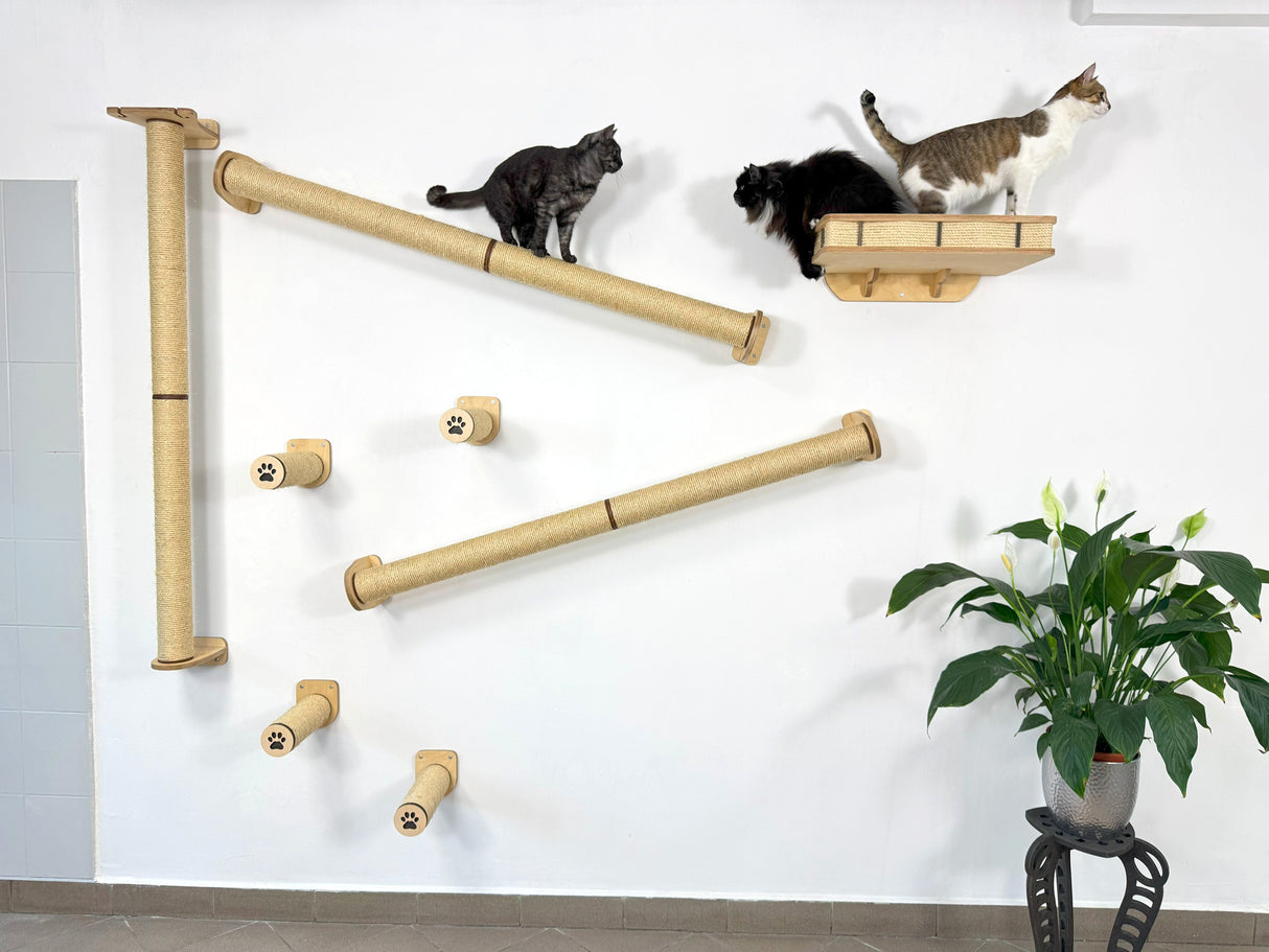 Ultimate Cat Wall System