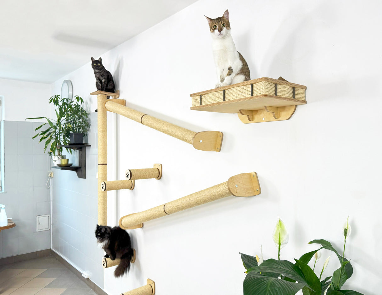 Wooden cat shelf with cats on a white wall