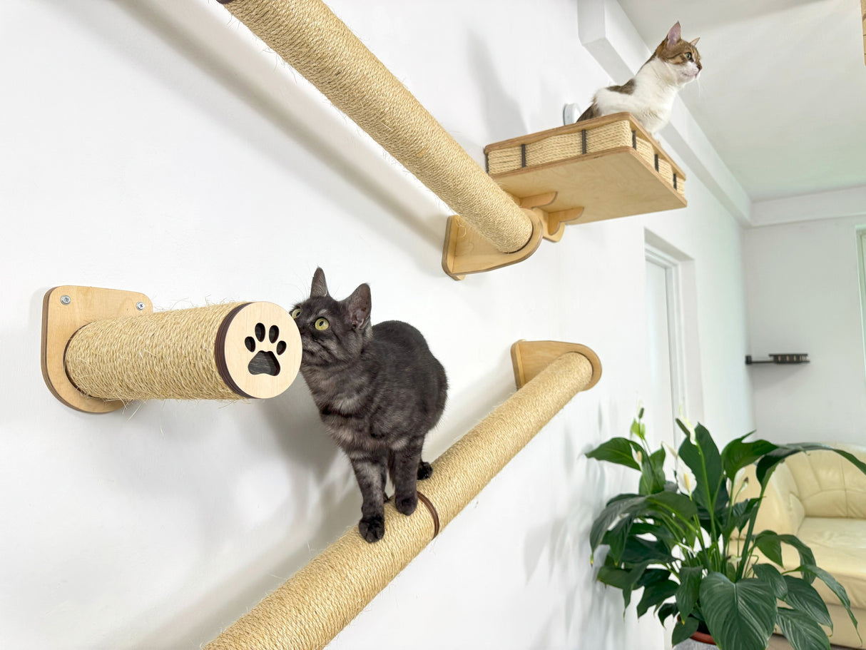 Active Cat Perch