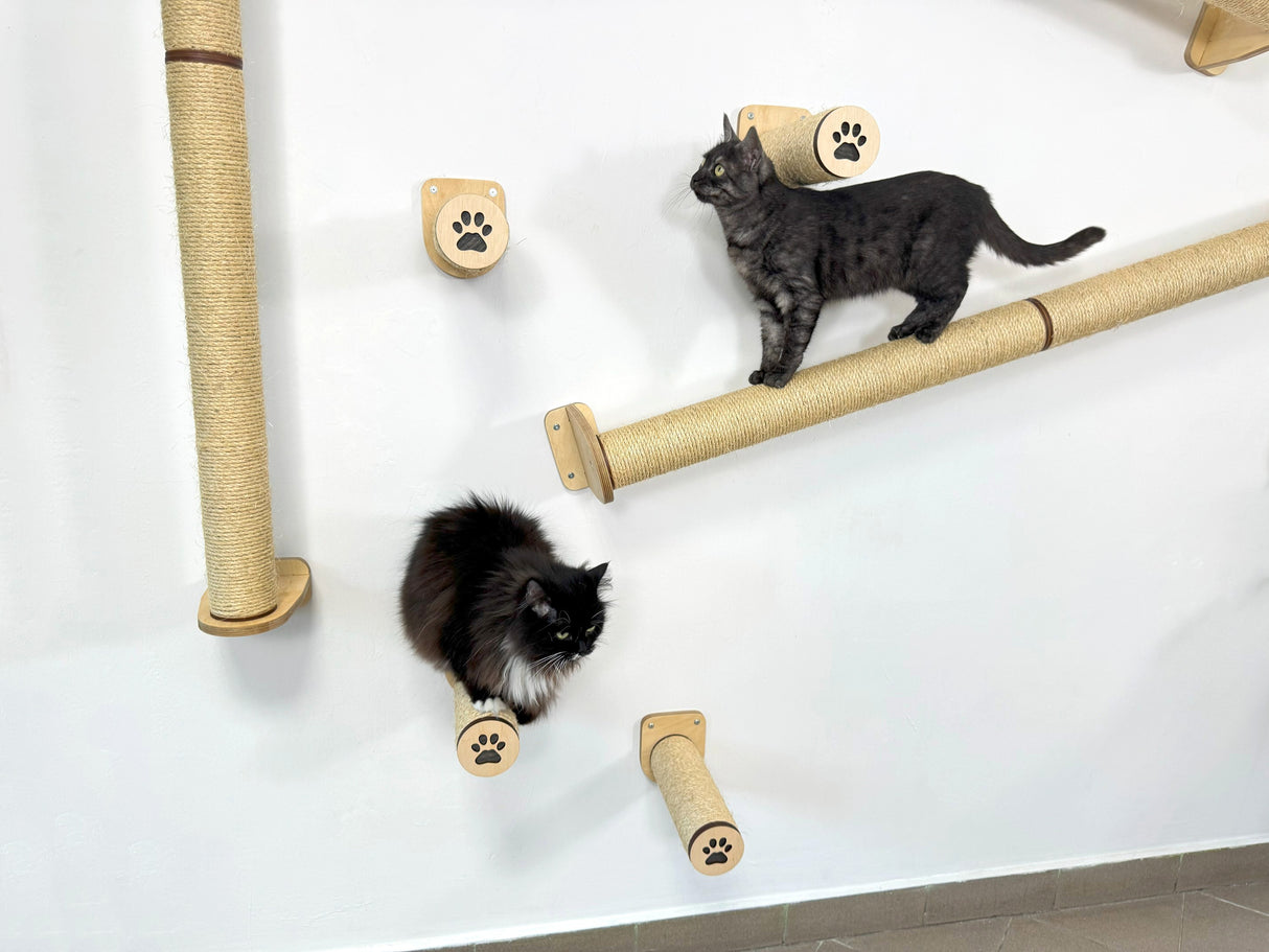 scratching posts cats