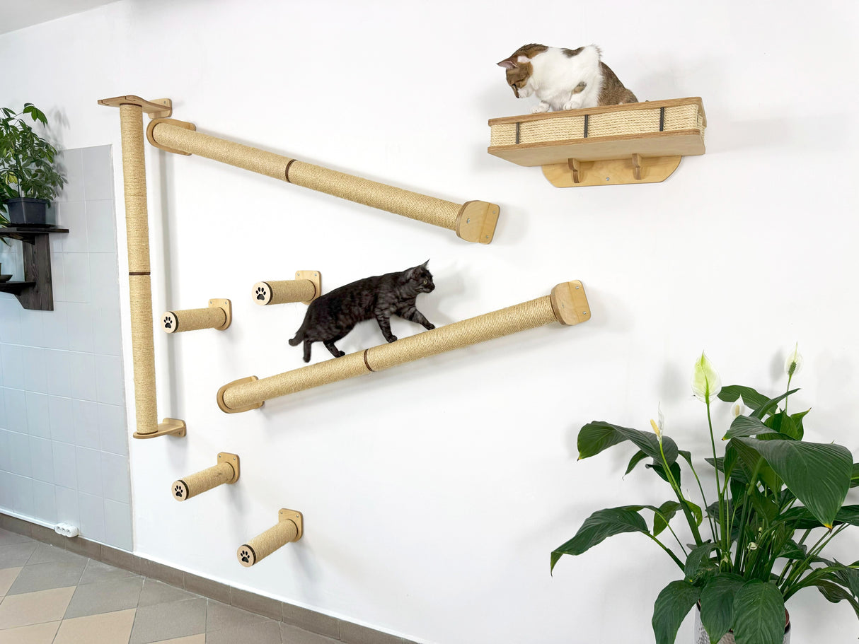 wall mounted cat shelves