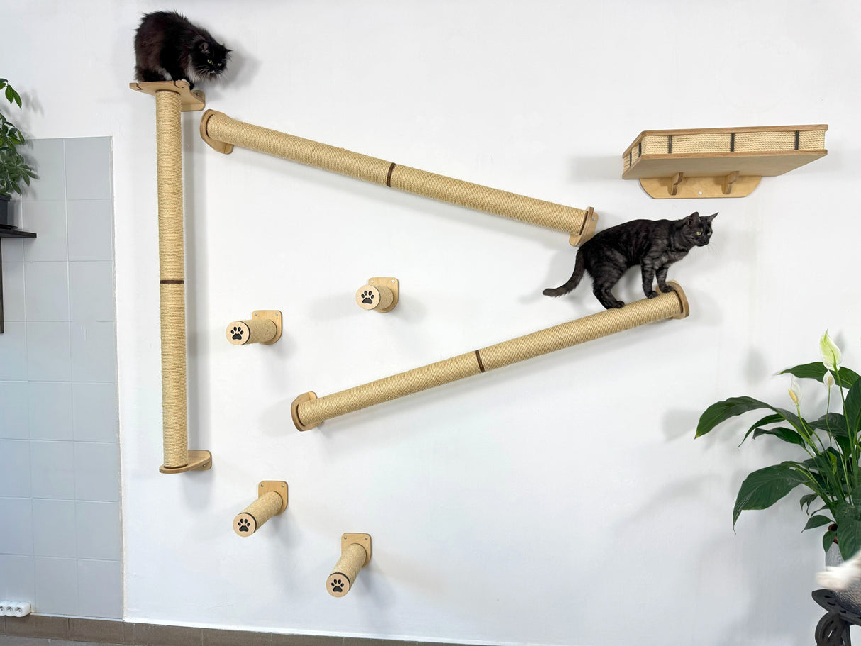wall shelves for cats