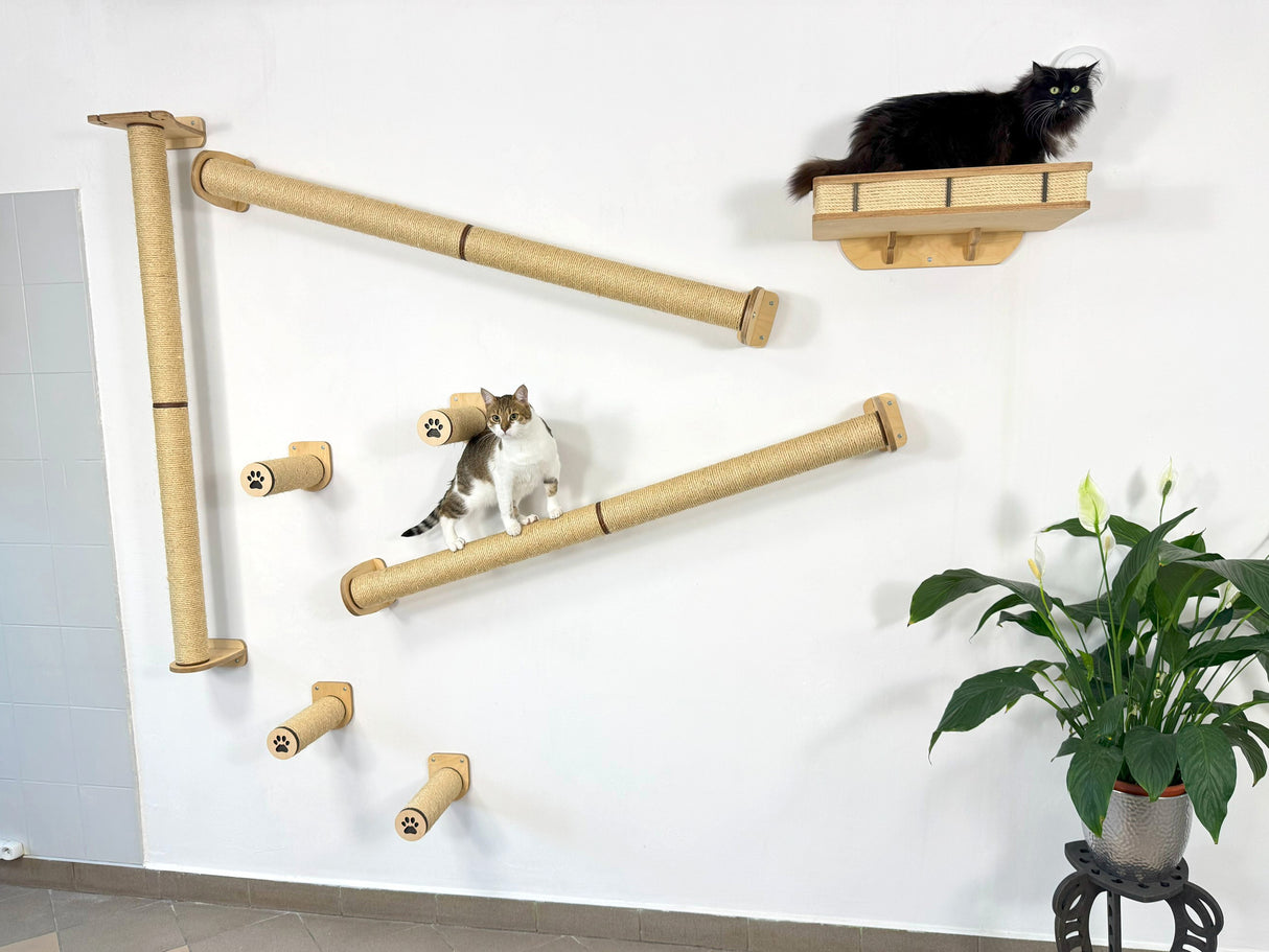 cat shelves for large cats