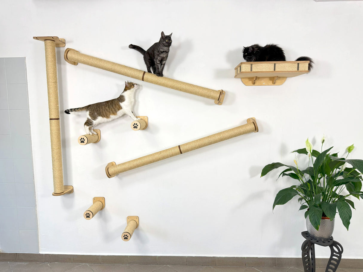 floating cat shelves