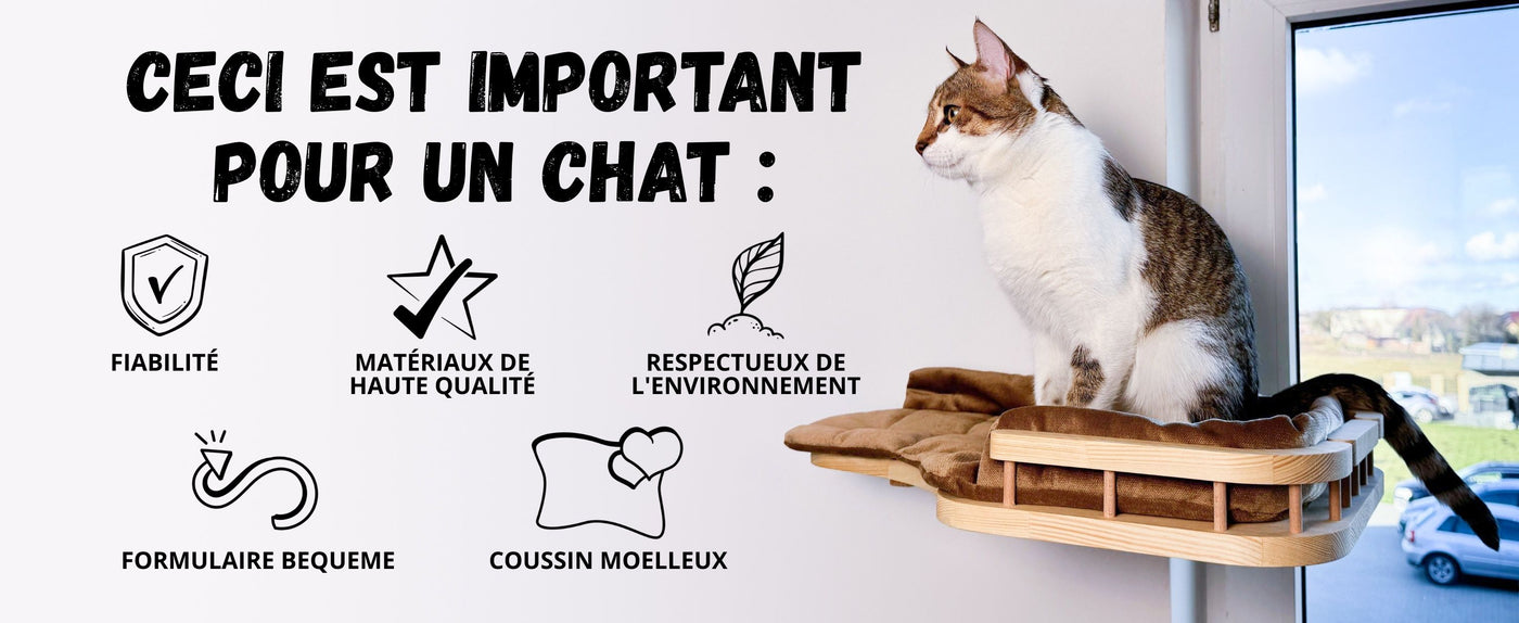 escaliers pour chats