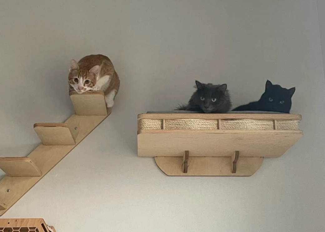 Modern Wall Shelf with Cushion for Large Cats