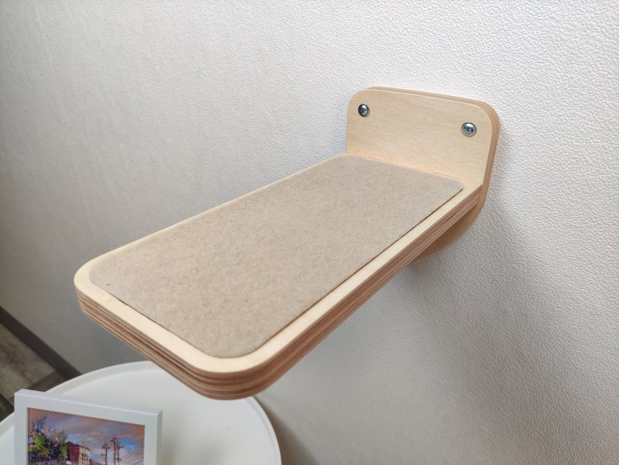 light cat wall big step