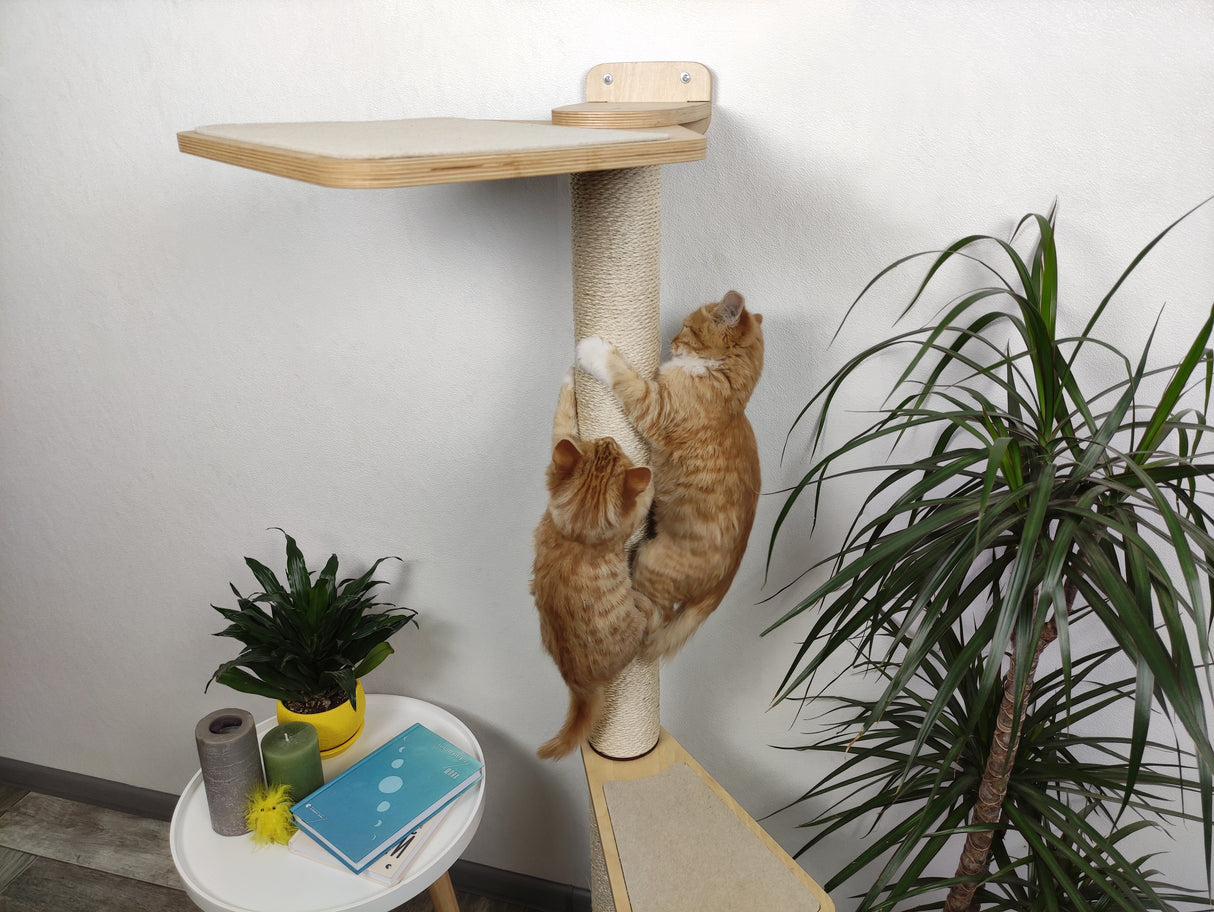 Little kittens climb on a scratching post