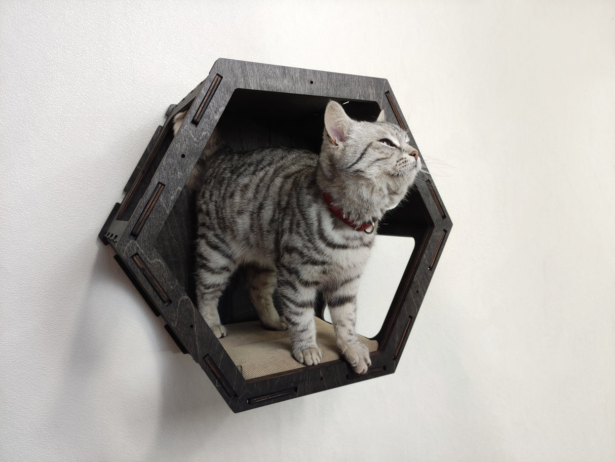 Cat Hexagon Shelf with Cushion - dark color