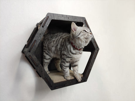 Cat Hexagon Shelf with Cushion - dark color