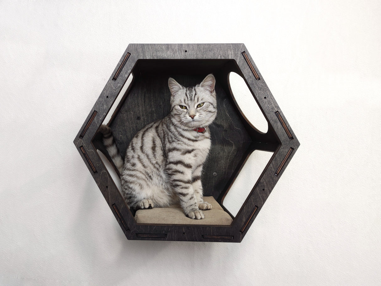 Cat Hexagon Shelf with Cushion - dark color