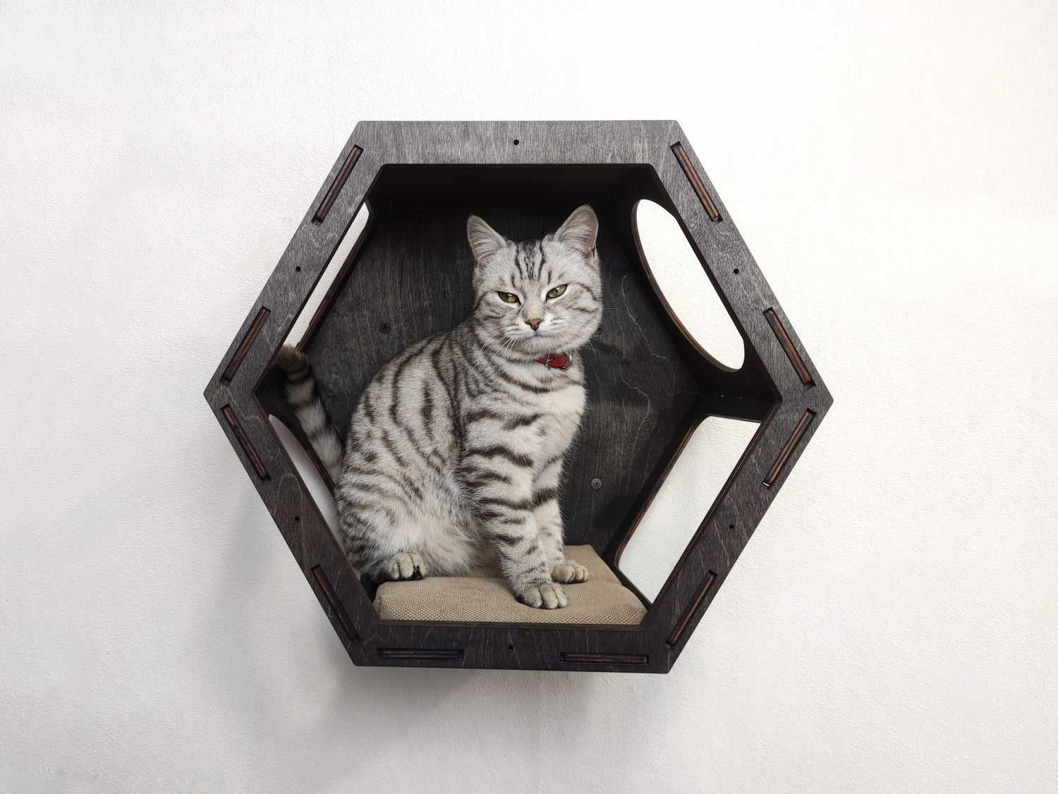 Cat Hexagon Shelf with Cushion - dark color