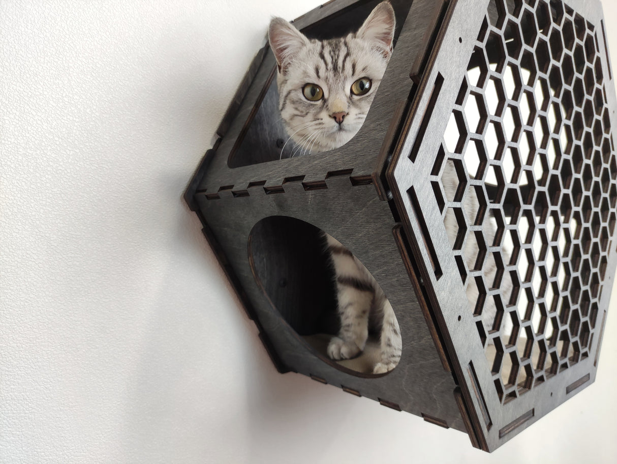 Cat Hexagon Shelf with Cushion