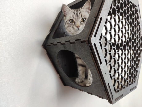 Cat Hexagon Shelf with Cushion