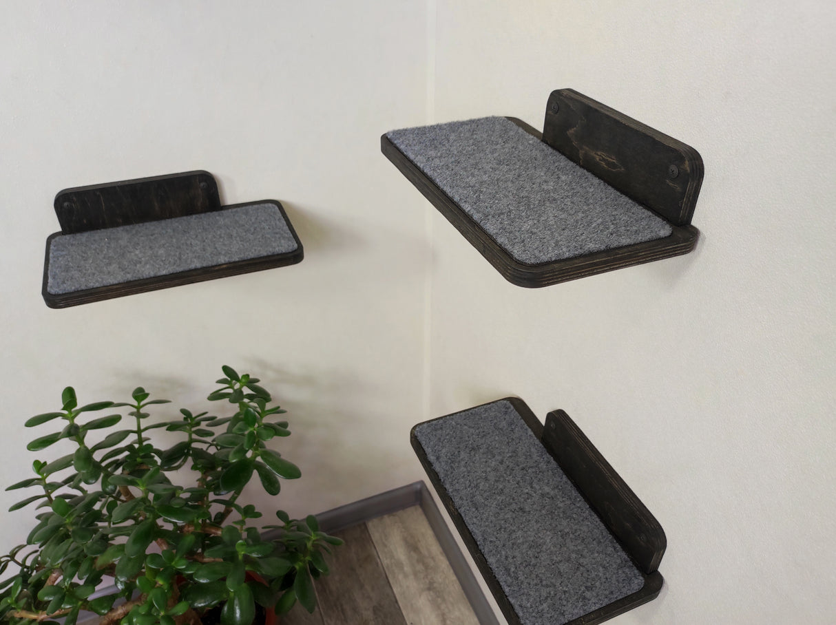 dark Cat Wall Shelves in the Room Corner
