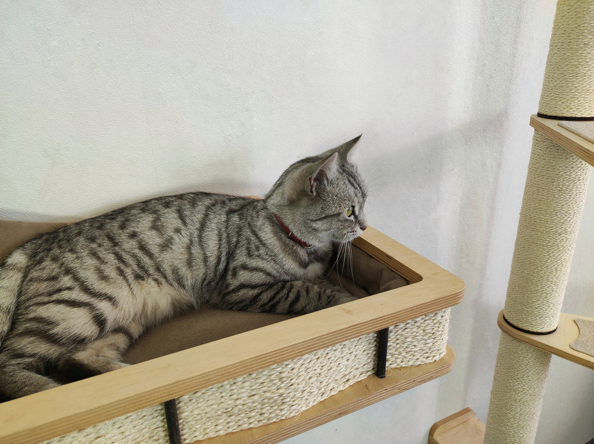 Modern Wall Shelf with Cushion for Large Cats
