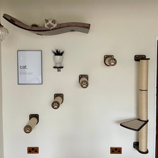 big cat wall playground