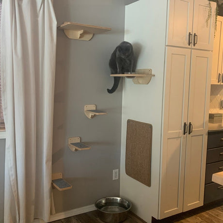 cat shelf with step