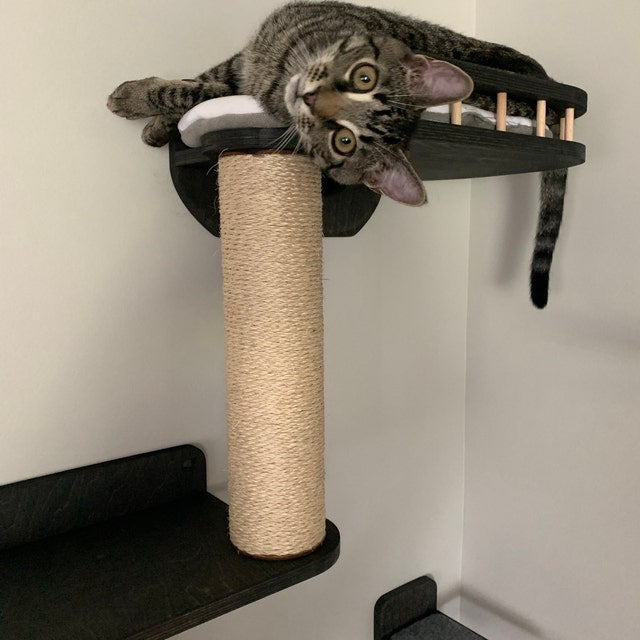 The cat is lying on a shelf with a soft pillow