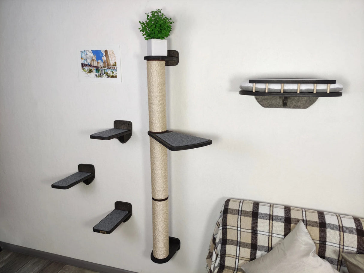 Wall mounted furniture set for a cat - bed, steps, scratching post