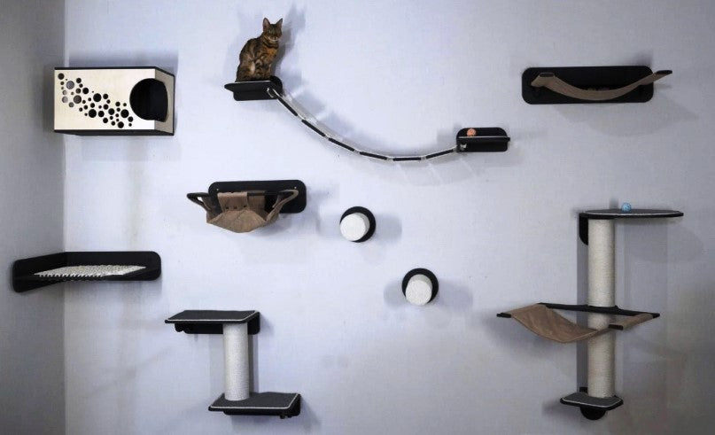 Creating a Wall Play Area for Energetic Cats