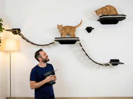 installation of wall furniture