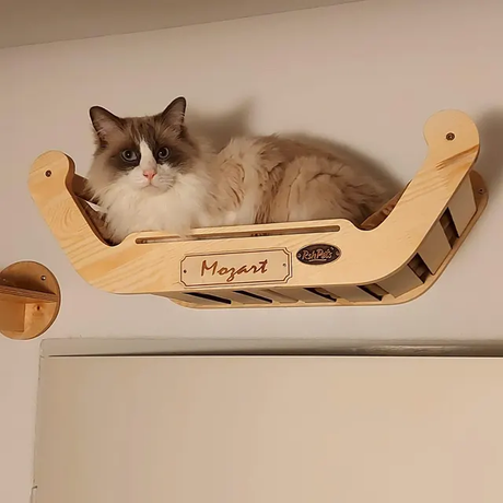 Mozart Apollo
