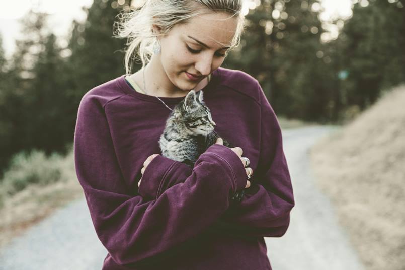 Top Superfoods for Boosting Your Cat's Immune System Naturally