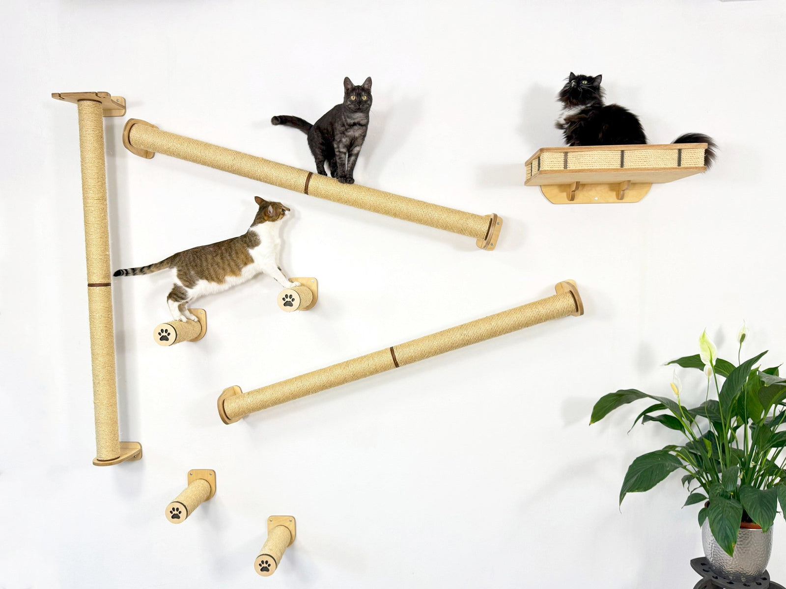 Modular wall-mounted cat climbing system by RshPets made from natural birch plywood and sisal. 