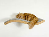 Cat sleeping on a wooden and fabric cat shelf against a white background
