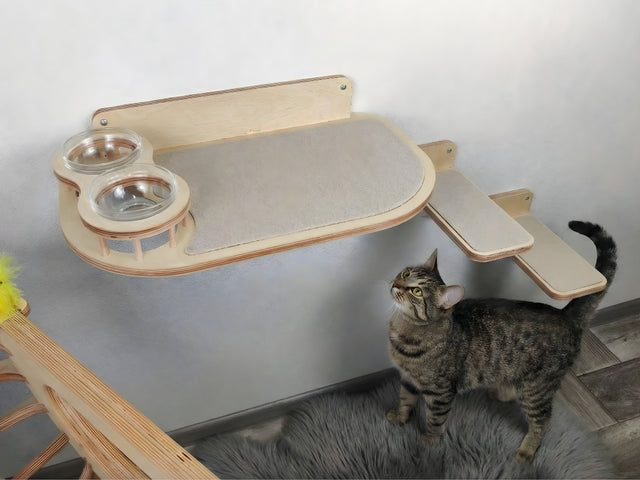 Cat standing on a wooden cat feeder shelf with a platform and two bowls.