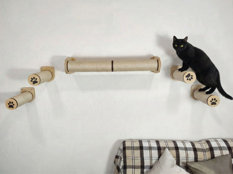 Black cat climbing on a cardboard tube wall toy with a plaid cushion in the background.