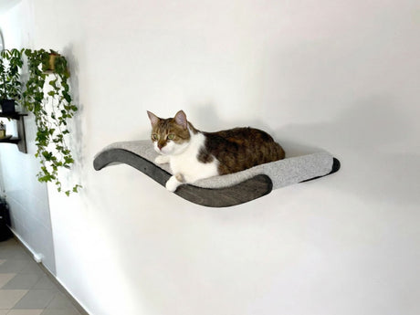 Cat lounging on a curved cat shelf against a white wall.