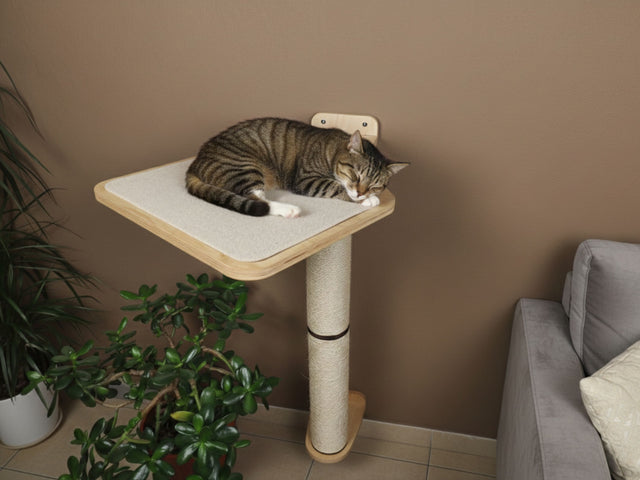 Cat lounging on a cat tree with a plant and sofa in the background