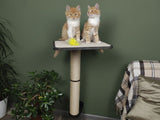 Two cats on a cat tree with a green wall and plant in the background