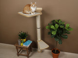 Cat sitting on a cat tree with plants and a small table in the background