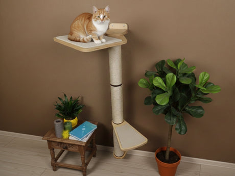 Cat sitting on a cat tree with plants and a small table in the background