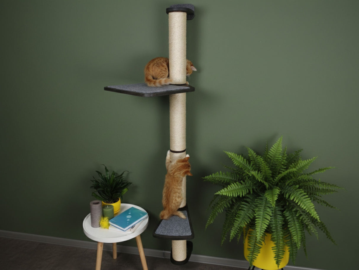 Cat tree with shelves and a cat on a green wall background