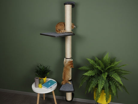 Cat tree with shelves and a cat on a green wall background