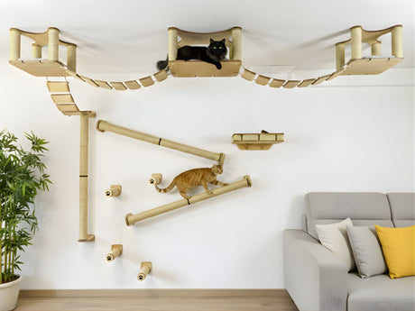 Large cat wall furniture setin natural color (Ceiling and wall shelves)
