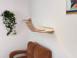 cat suspension bridge